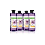 Farmasi Botanics Mine Çiçeği Tazeleyici 4×500 ml Duş Jeli