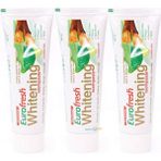 Farmasi Whitening Aloe Veralı Misvaklı 3x112 ml Diş Macunu