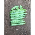 Fasulye Tohumu ÖZLEM ( Sırık ) - 50 g