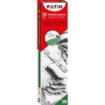Fatih 12'li 3B Dereceli Kalem
