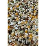 Fauna Pet Supplies 10kg Gold Bird Güvercin Yemi