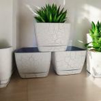 Favilla 18 cm Mermer Desenli Kare Tabaklı Saksı (3 Adet) - Krem