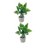 FAVOMOTO 6 Adet Mini Yeşil Saksı Bitkisi Minyatür Bonsai Katlanır Sandalyeler Simülasyon Mini Bonsai Yeşil Aksesuarlar Yeşillik Mini Yapay Bitkiler Bonzai Plastik Yeşil Bitkiler Masaüstü