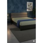 Favora %100 Pamuk Ranforce Premium Çift Kişilik Lastikli Çarşaf - Yeşil - 160 x 200