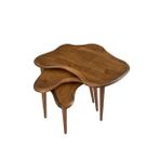 Fawdecor Asimetrik Masif Ahşap Zigon Sehpa Takımı 3'lü Set Modern Bohem Tarz Doğal Ağaç Yan Sehpa