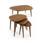 Fawdecor Oval Masif Doğal Ahşap Orta Sehpa ve 3'lü Yan Sehpa Set | Asimetrik Modern İskandinav Tasarım