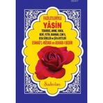 FAZILETLERIYLE YASIN-I ŞERIF (ORTA BOY) - KOLEKTIF