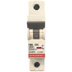 Federal 1X25A 6ka C Tipi Otomatik Sigorta 9EG-C0631-0D25 - 25 A