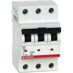FEDERAL 3X63A 3ka, C Tipi, Otomatik Sigorta, 9EC-C0333-0D63
