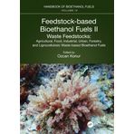 Feedstock-Based Bioethanol Fuels. II. Waste Feedstocks: Agricultural, Food, Industrial, Urban, Forestry, and Lignocellulosic Waste-Based Bioethanol Fuels