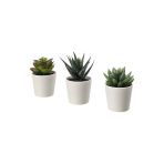 Fejka Saksılı Yapay Bitki, Yeşil, 6 Cm, 3 Adet, Kaktüs Saksılar