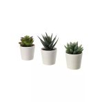 Fejka Saksılı Yapay Bitki, Yeşil, 6 Cm, 3 Adet, Kaktüs