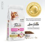 Felicia 12 kg Kolajenli Tavuklu Az Tahıllı Yavru Kedi Maması