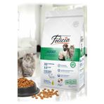 Felicia 2 kg Adult Tavuklu Ve Hamsili Yetişkin Kedi Maması