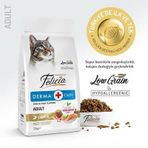 Felicia 2 kg Kolajenli Somonlu Az Tahıllı Yetişkin Kedi Maması