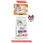 Felicia 3lü Set: Hipoalerjenik Somonlu Kısır Kedi Maması 2kg + 50X14GR Wanpy Krema Kedi Ödülü Ezme Hediyeli!