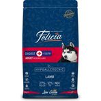 Felicia Adult Large Breed Kuzu Etli Yetişkin Köpek 3 kg Mama