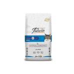 Felicia Dodo Yetişkin Somonlu 12 kg Kedi Maması