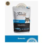 Felicia Pouch Somonlu Yetişkin Kedi Yaş Maması 85 gr - 85GR