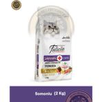 Felicia Urinary Care Adult Salmon Sterilised-Collagen 2 kg (Az Tahıllı & Hipoalerjenik Somonlu Kısırlaştırılmış Yetişkin Kedi Maması) - 2kg
