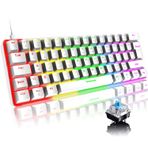 FELiCON T60 Mini%60 Oyun Klavyesi 60 Percent Mekanik Klavye 19 RGB Rainbow LED Arkadan Aydınlatmalı Taşınabilir 62 Tuş Anti-Ghosting UK Layout USB-C Kablosu Mac Laptop PC için-Mavi Anahtar/Beyaz