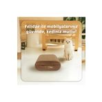 Felidae Oluklu Mukavva, Kedi Tırmalama Kanepesi – Oval Tırmalama / Small (28X12,5X24CM) CS6 DW