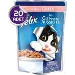 Felix 20 X Somonlu Pouch Yetişkin Kedi Yaş Maması