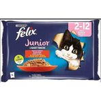 Felix Junior Tavuklu Ve Sığır Etli Yaş Kedi Maması 4 x 85 gr 6'lı