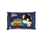 Felix Sığır Etli 4x85 gr Kedi Konservesi