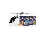 Felix Süper Karışık 20 Adet Kedi Maması 4 Çeşit (Ekonomik Pakette Artık Sizler Ile)