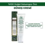 Fellyhealer Güneş Kremi 50 ml SPF50+ Tüm Cilt Tipleri İçin Geniş Spektrum Paraben İçermeyen Koruma