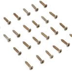 Fender Road Worn Pickguard/Control Plate Screws (24 adet)