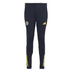 fenerbahçe 2025-26 Sezonu A Takım Eşofman Altı, S, AT050EFS01, Lacivert, Unisex Yetişkin