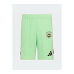 fenerbahçe 2025-26 Sezonu Yeşil Kaleci Şortu, L, AT514EFS06, Mint, Erkek