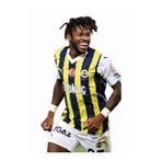 Fenerbahçe Resmi Lisanslı Fred Oto Araç Kokusu Asma Koku (Fred)