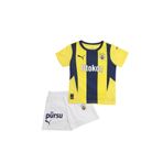 Fenerbahçe S.k. Çubuklu Forma 24/25 Erkek Iç Saha Forması Sarı-lacivert