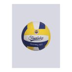 Fenerbahçe VOLEYBOL TOPU PROF NO4
