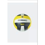 Fenerbahçe Voleybol Topu