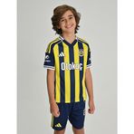 Fenerium AT013CFS014SR Fenerbahçe 2025/26 Çubuklu Jr Forma