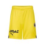 Fenerium Fenerbahçe Lisanslı Sarı Forma Şort Sarı