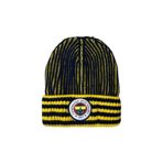 Fenerium Fenerbahçe S.K. 25/26 Sezon 6 Renk Logolu Unisex Bere Lacivert, Tek Ebat, TA045UGK11, LACIVERT-SARI, Unisex Yetişkin