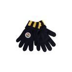 Fenerium TA072CFK02407 Fenerbahçe Çubuklu Çocuk Eldiven