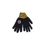 Fenerium TA072UFK06407 Fenerbahçe Sarı Lacivert Şeritli Unisex Eldiven