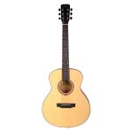Fenix FT-1ONA Natural Akustik Gitar