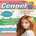 Fenomen Çengel Bulmaca 12 716292