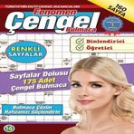 Fenomen Çengel Bulmaca 14 716298