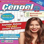 Fenomen Çengel Bulmaca 3 716311