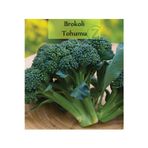Fento Brokoli Tohumu 1 Paket (1 Gr=250+ Adet)