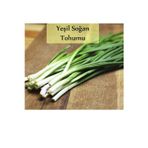 Fento Yeşil Soğan Tohumu 1 Paket (10gr=2000+ Adet) Taze Soğan Tohumu
