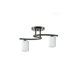 Fer Avize Fuji modern spor tavan plofonyer silindir camlı Salon - Mutfak - Yatak Odası 2 li siyah avize